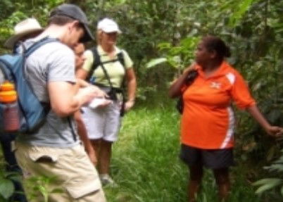Ingan Tours - Spirit Of The Rainforest Tour - Attractions Melbourne 0