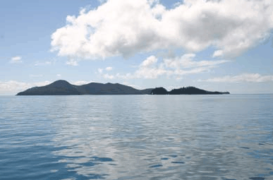 Whitehaven Xpress Whitehaven Beach Tours - Attractions Melbourne 2