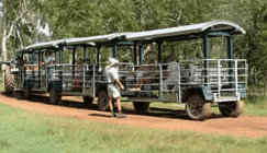 Whitsunday Crocodile Safari - Attractions Melbourne 2