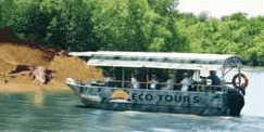Whitsunday Crocodile Safari - Attractions Melbourne 3