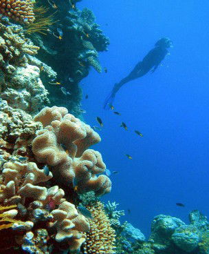 Brinsmead QLD Attractions Melbourne
