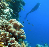 Reef Magic Cruises - Attractions Melbourne