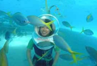 Seawalker At Green Island - Attractions Melbourne 1