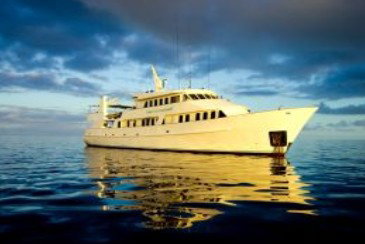 Spirit Of Freedom - Attractions Melbourne 0