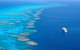 Spirit Of Freedom - thumb 1