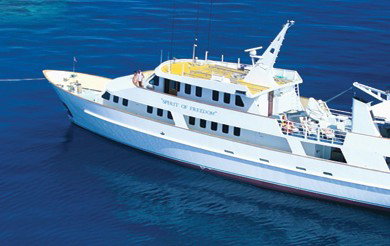 Spirit Of Freedom - Attractions Melbourne 4