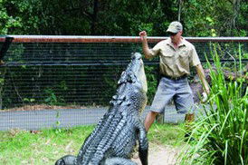 Tropical Horizons Tours - Attractions Melbourne 4