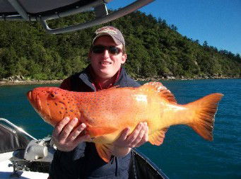 Gone Fishing By Coral Sea Fishing Charters Airlie Beach - Attractions Melbourne 0