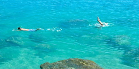 Salty Dog Sea Kayaking - Attractions Melbourne 1