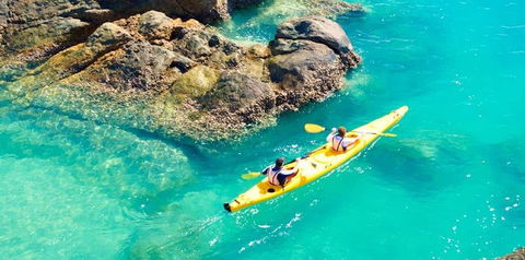 Salty Dog Sea Kayaking - Attractions Melbourne 9