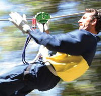 Adventure Parc - Attractions Melbourne
