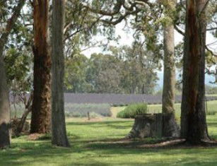 Amosfield QLD Attractions Melbourne