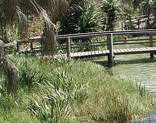 Australia Fraser Island Escape - Attractions Melbourne 1