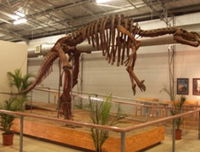 Book Winton Accommodation Vacations Attractions Melbourne Attractions Melbourne