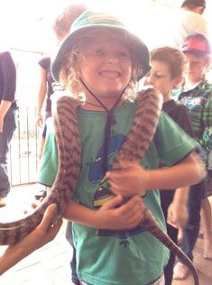 West Oz Wildlife Petting Zoos - Attractions Melbourne 3