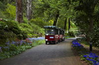 Book Kelmscott Accommodation Vacations Attractions Melbourne Attractions Melbourne
