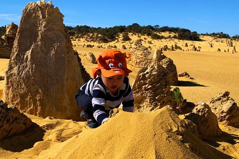 Perth Kids Explorer (Private) Day Tour - Attractions Melbourne 3
