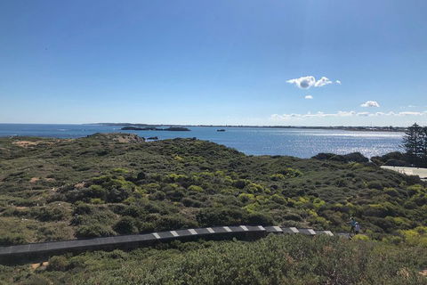 Penguin Island And Fremantle - Canoe, Chocolate & Coffee - Attractions Melbourne 0