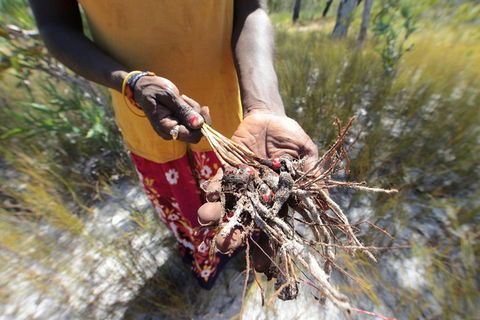 Gay-Wu Woman's 5 Day Yolngu Homeland Tour - Attractions Melbourne 0