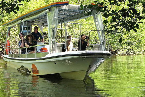 3-Day Best Of Cairns Combo: The Daintree Rainforest, Great Barrier Reef, And Kuranda - Attractions Melbourne 4