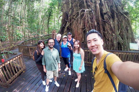 Barron Gorge And Kuranda National Park Half Day Rainforest And Waterfall 4WD Tour From Cairns - Attractions Melbourne 5