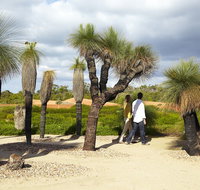 1 Day Exclusively Private Tour Of Phillip Island  The Penguin Parade - Attractions Melbourne