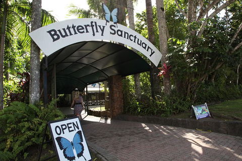 Kuranda Day Trip From Port Douglas Upgrade To Skyrail & Scenic Train Available - Attractions Melbourne 0