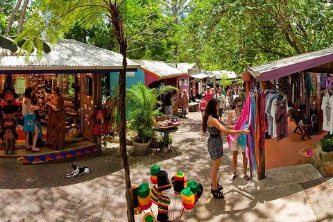 Kuranda Day Trip From Port Douglas Upgrade To Skyrail & Scenic Train Available - Attractions Melbourne 2