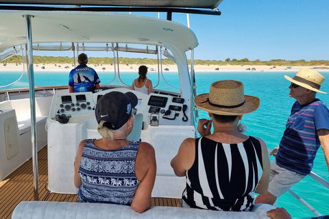 Snubfin Dolphin Eco Cruise From Broome - Attractions Melbourne 5