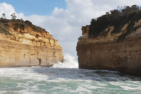 12 Apostles Tour From Warrnambool - Attractions Melbourne 2