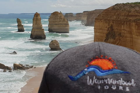 12 Apostles Tour From Warrnambool - Attractions Melbourne 4