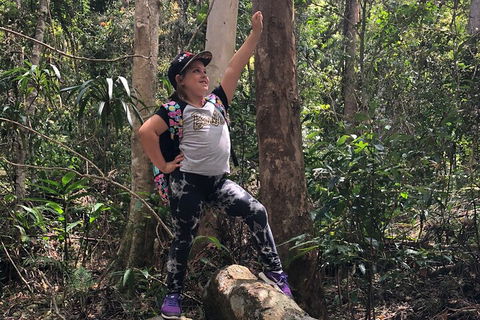 Natural Bridge, Skywalk And Mt Tamborine Adventure! - Attractions Melbourne 3