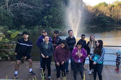 Natural Bridge, Skywalk And Mt Tamborine Adventure! - Attractions Melbourne 4