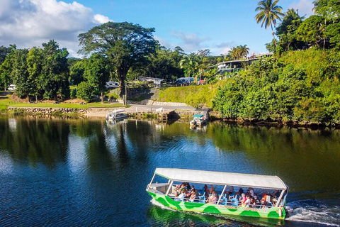 Afternoon Half-Day Daintree Rainforest And River Tour - Attractions Melbourne 1