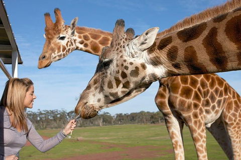 Melbourne City Card (2 Days): Visit Unlimited Attractions! - Attractions Melbourne 1
