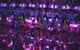 Infinity Attraction - Admission - thumb 3