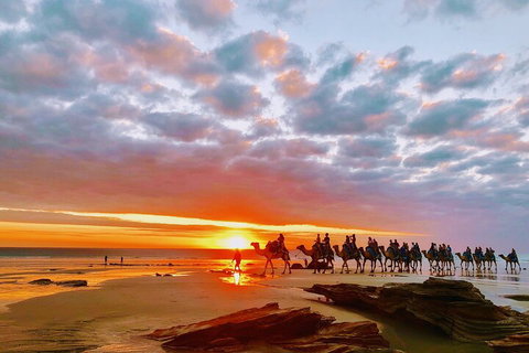 1 Hour Broome Sunset Camel Tour - Attractions Melbourne 0