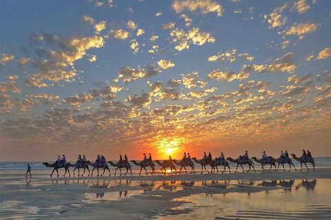1 Hour Broome Sunset Camel Tour - Attractions Melbourne 1