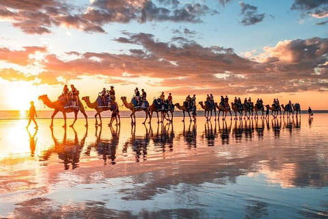 1 Hour Broome Sunset Camel Tour - Attractions Melbourne 2