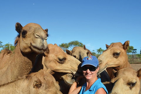 1 Hour Broome Sunset Camel Tour - Attractions Melbourne 3