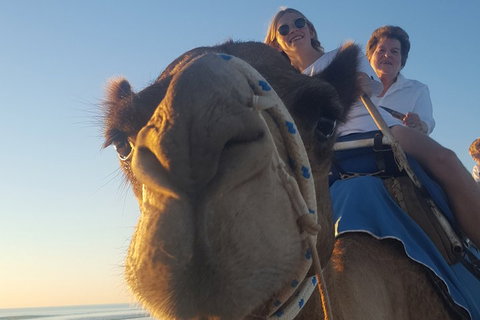 1 Hour Broome Sunset Camel Tour - Attractions Melbourne 4