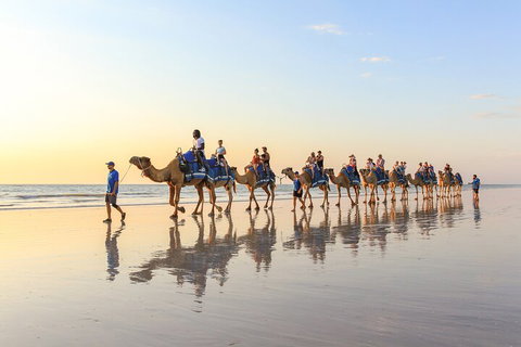 1 Hour Broome Sunset Camel Tour - Attractions Melbourne 5
