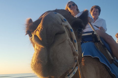 Broome Pre-sunset Camel Tour 30 Minutes - Attractions Melbourne 1