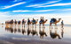 Broome Pre-sunset Camel Tour 30 Minutes - thumb 2