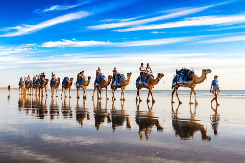 Broome Pre-sunset Camel Tour 30 Minutes - Attractions Melbourne 2