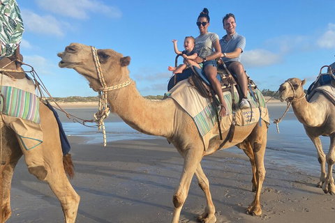 Broome Pre-sunset Camel Tour 30 Minutes - Attractions Melbourne 3