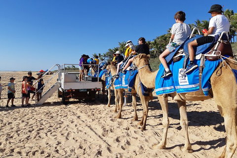 Broome Pre-sunset Camel Tour 30 Minutes - Attractions Melbourne 5