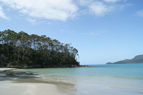 Bruny Island Day Trip From Hobart - Attractions Melbourne 1