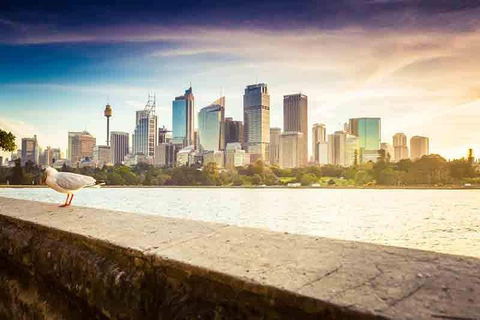 Private Sydney City And Bondi Beach Half Day Tour - Attractions Melbourne 2