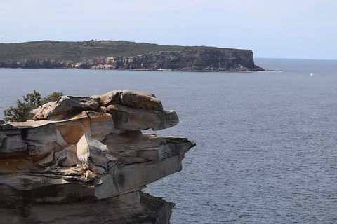 Private Sydney City And Bondi Beach Half Day Tour - Attractions Melbourne 3